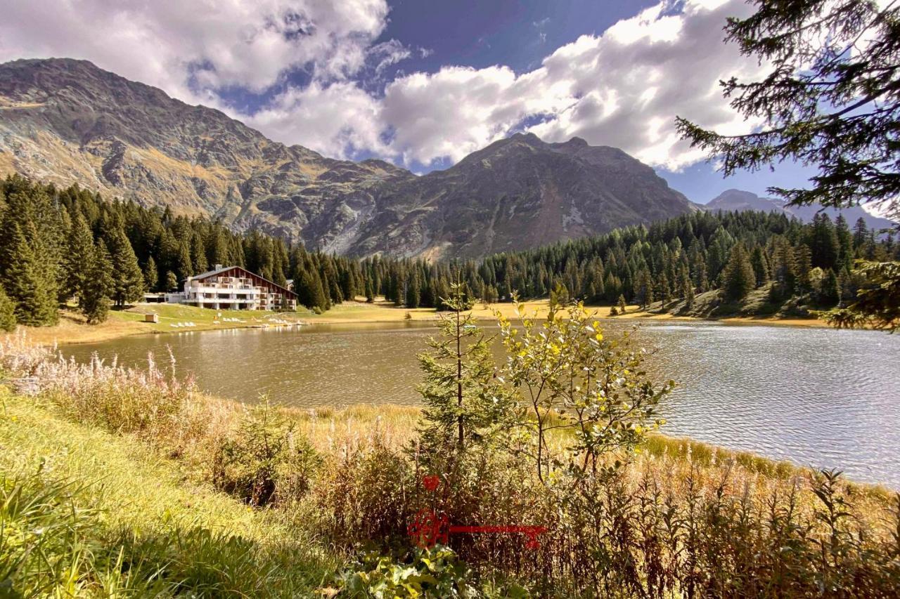 Chalet 5 Stars In San Bernardino, Ski Slopes And Hiking, Fireplace, 4 Snowtubes Free, Wi-Fi Free, For 8 Persons, Wonderful In All Seasons -By Easylife Swiss 외부 사진